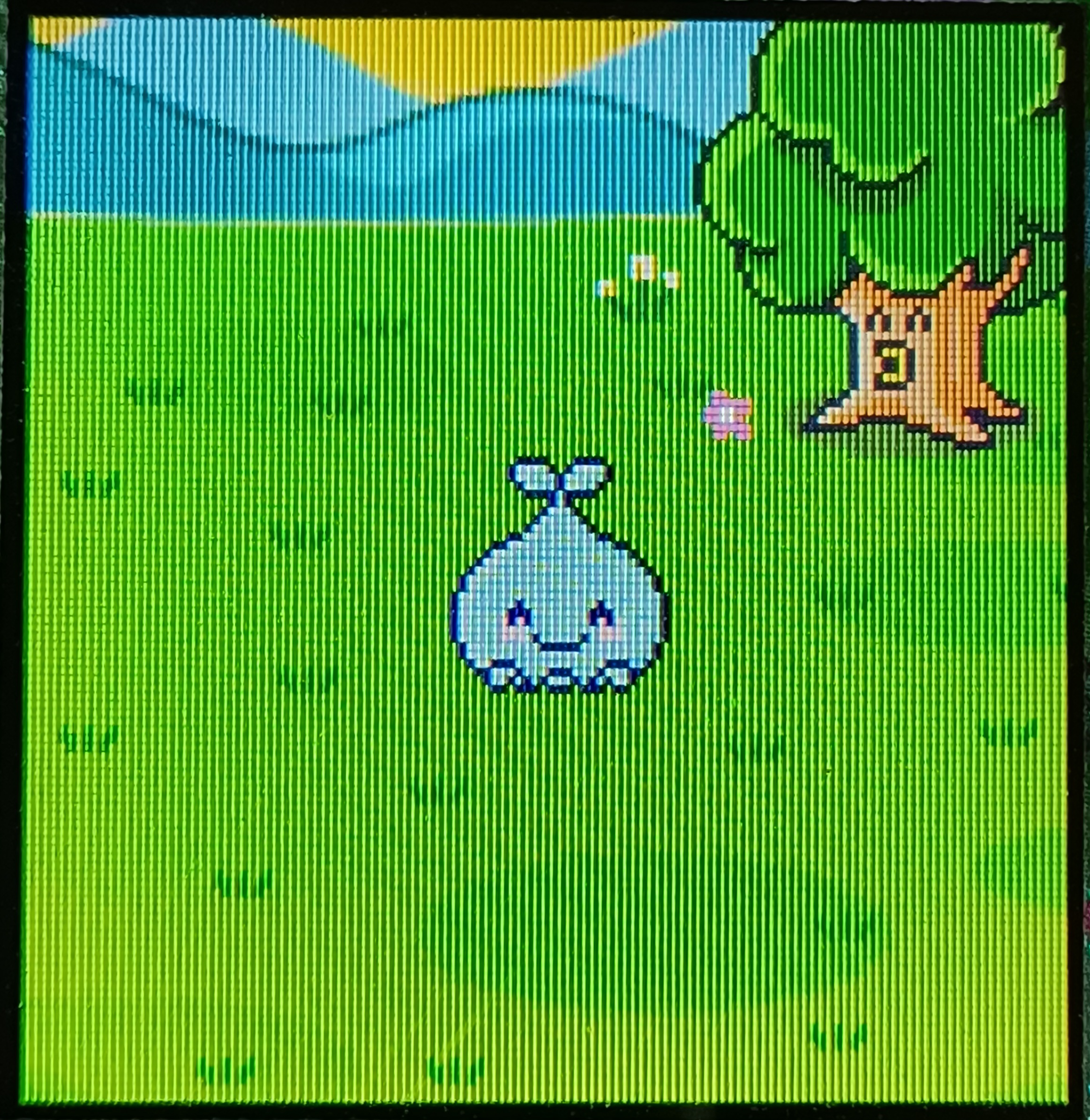 Sprout Young - Dwayne